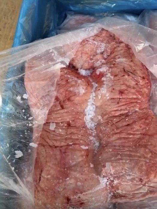 Курдюк, свежий, Заморозка