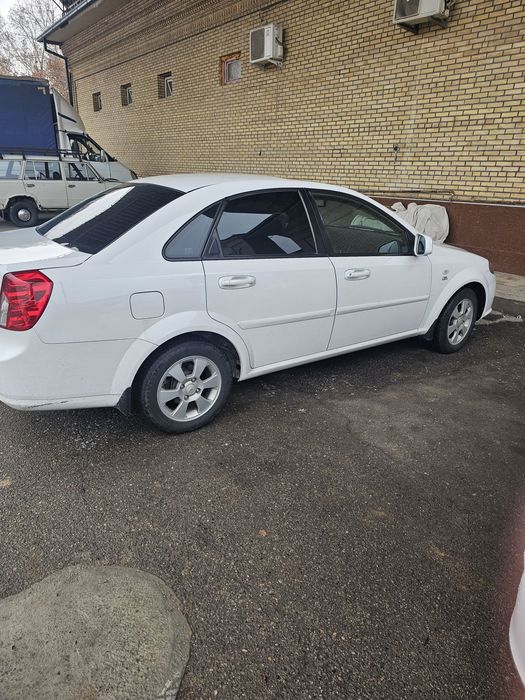 Oq jentra sotiladi 2019 yil