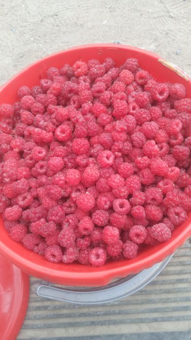 Варенье вишнёвое