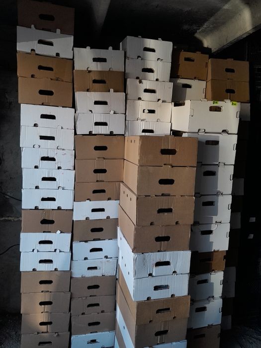 Пластмассовые корзины и робот коробки