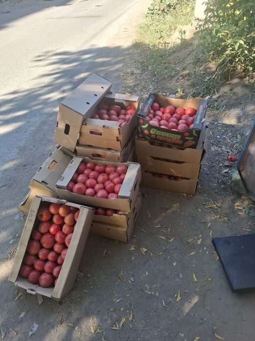 Розовые помидоры по 600 тг