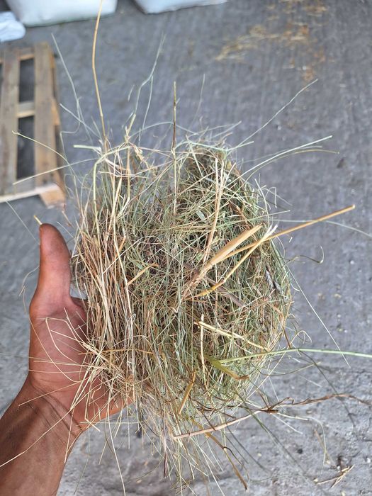 Гранули люцерна и Бали ливадно сено