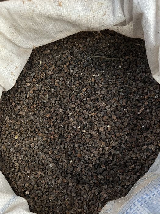 Продам Гречку в мешках чистую