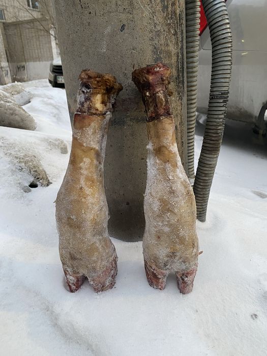 Продам говяжьи ноги