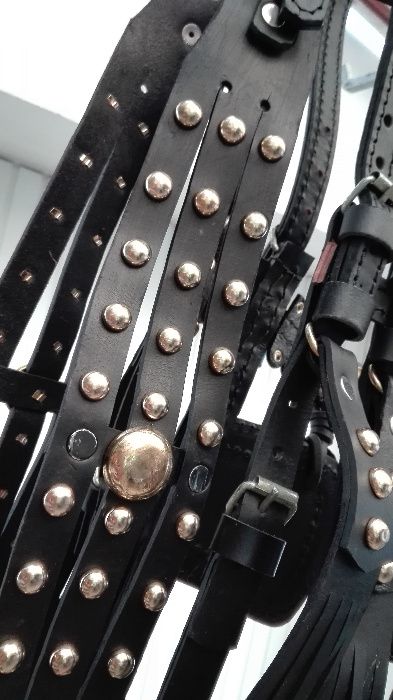 capici-cu-salba CAL/MAGAR/PONEI | set premium ... ⟣GARANTIE ⁴⁸