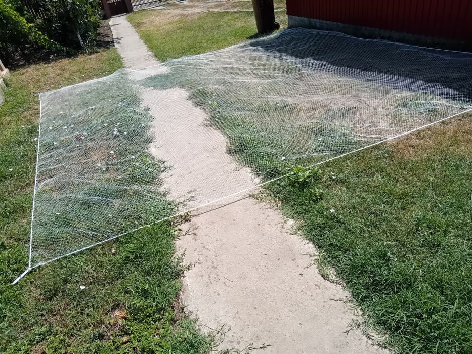 Momeala pește,plasa halau