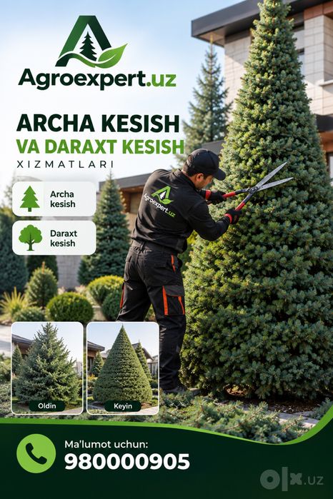 Archa kesish | Bogbonlik xizmati