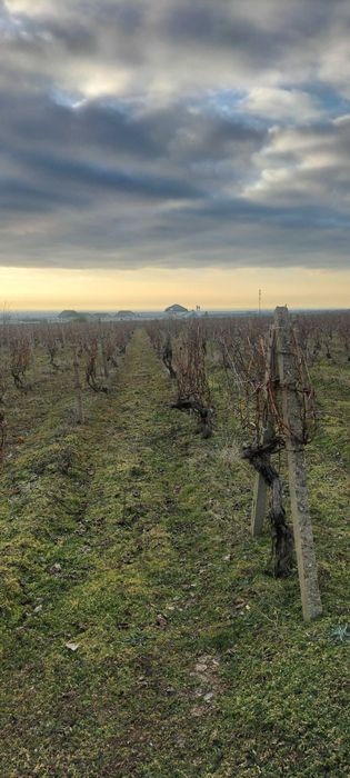 Teren en Slobozia Bradului de 12.300 mp intravilan,intabulat