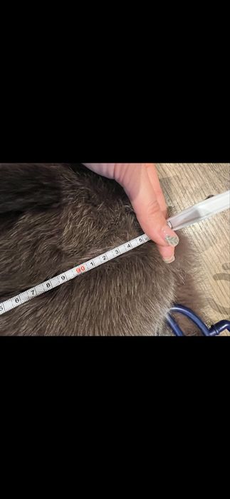 Blană naturală de vulpe