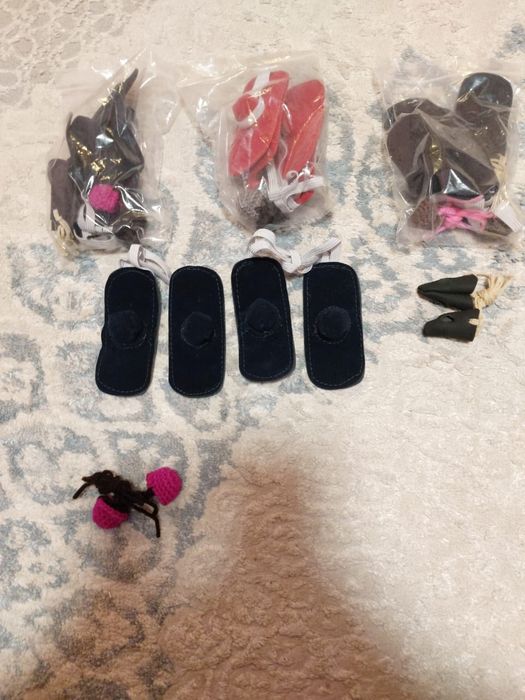 На шпорник для Даканов