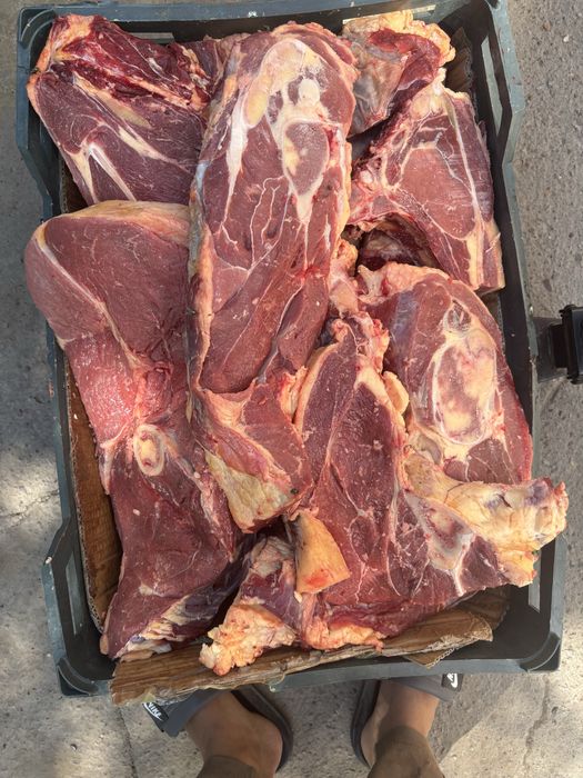 продам говяжий мясо