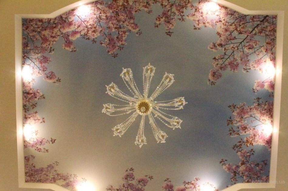 Натяжные потолки и фотообои качество выше цены