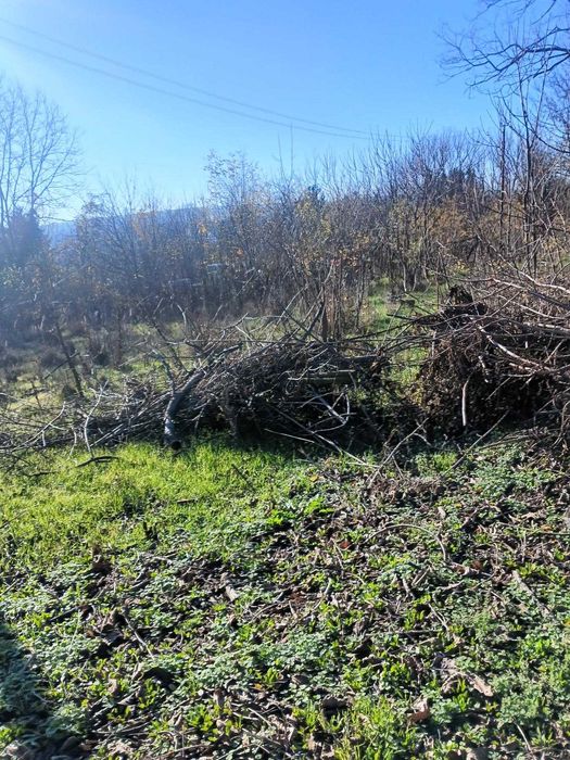 Продава се Парцел в Разград, Промишлена зона - Запад - 1325 кв.м за 7 €/кв.м - Снимка #2