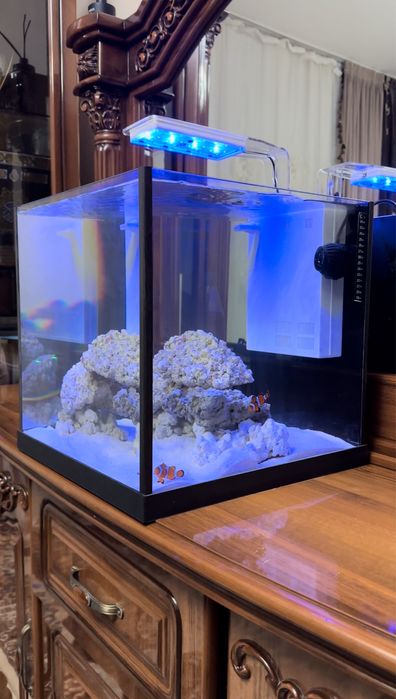 Обслуживание морских и прессных аквариумов,Чистка аквариумов