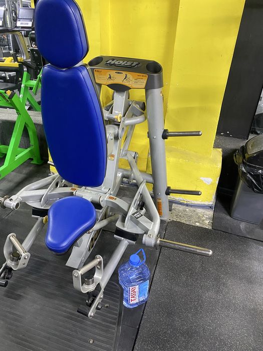 Hoist technogym hammer streange impulse vasil gym