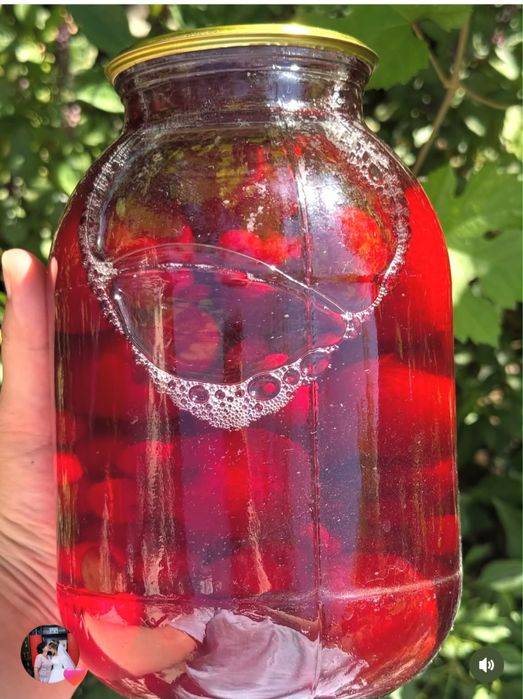 Маринованные огурцы