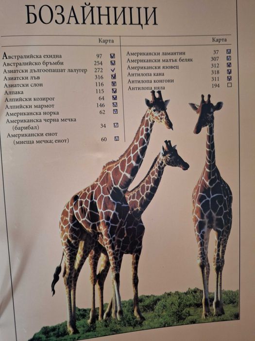 Енциклопедии "Чудният свят на животните"