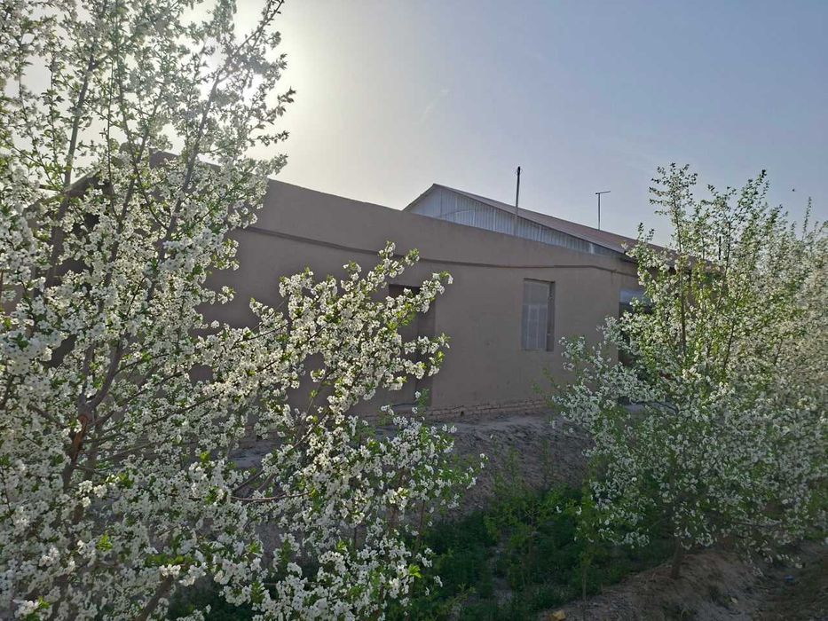 Yangiariq tumani Sherobod MFYda qurilishi tugallanmagan hovli joy