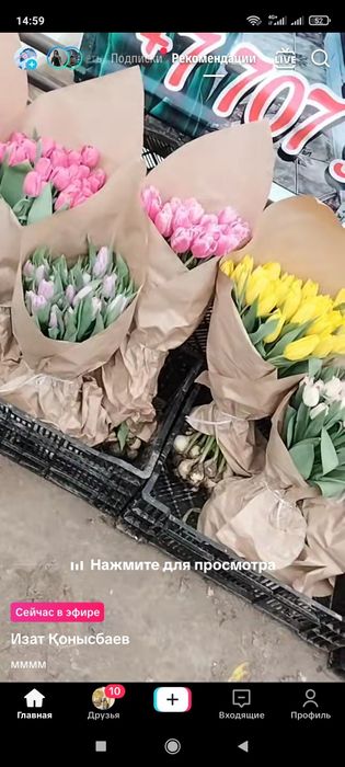 Тюльпан оптом акция