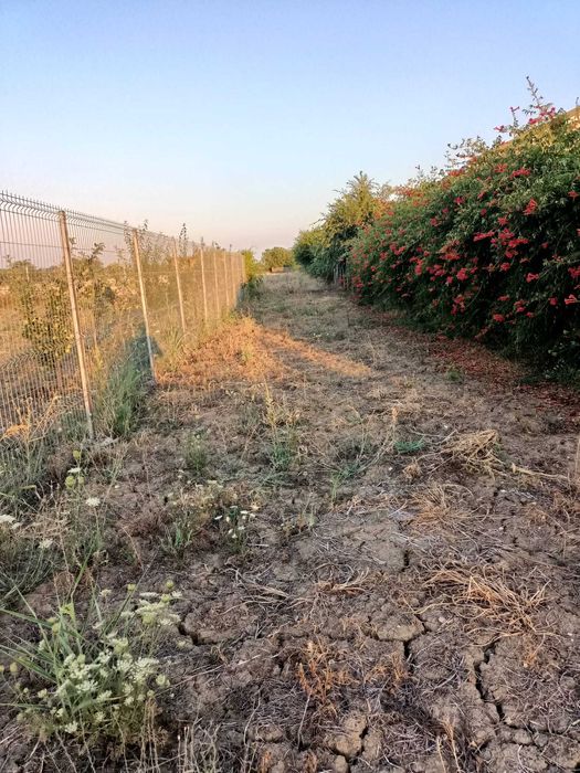 Vand teren intravilan