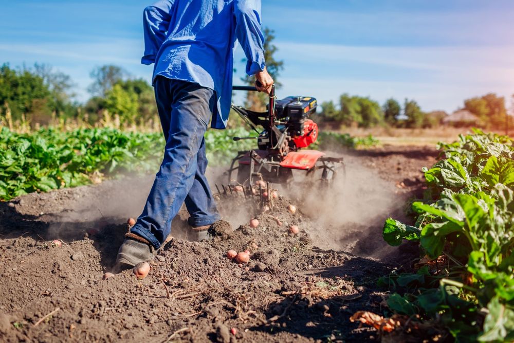 Аренда Культиватор Прокат Мотоблок Дастафка есть режим работы 24.7