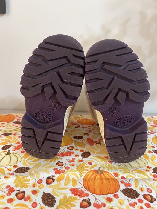 Сапоги демисезонные для девочки, 25 р-р