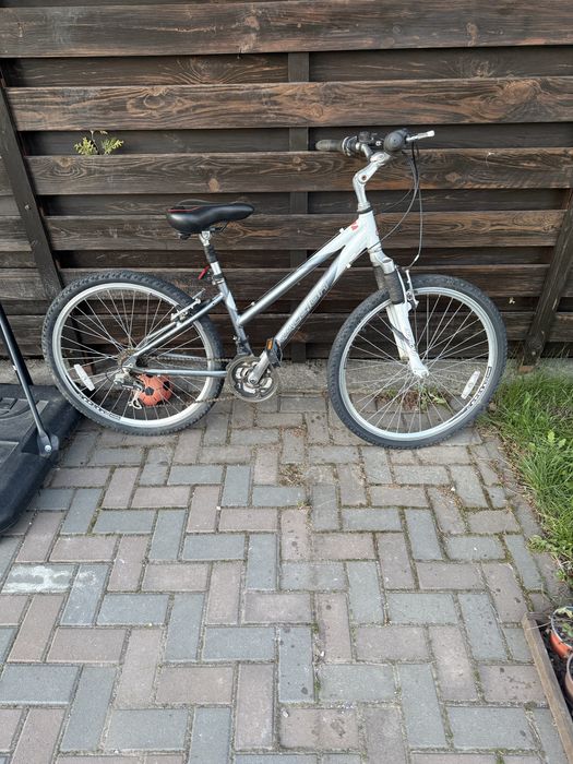 Bicicleta Raleigh