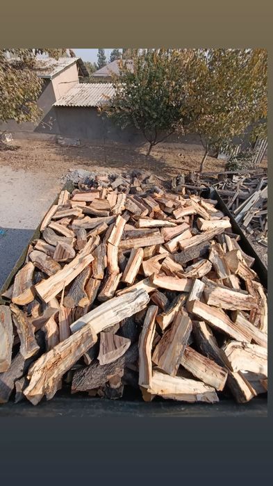 O'tin дрова сухой