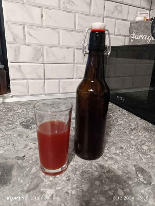 Ciupercă Kombucha Scoby
