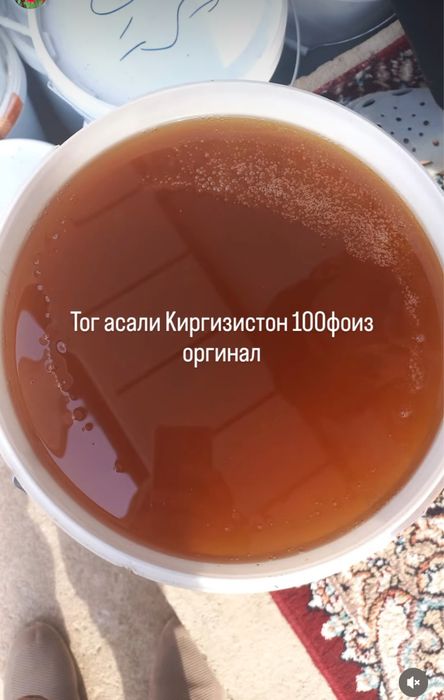 Тозза Киргиз тог асали бор.