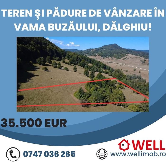 Teren și pădure de vânzare în Vama Buzăului, Dălghiu!