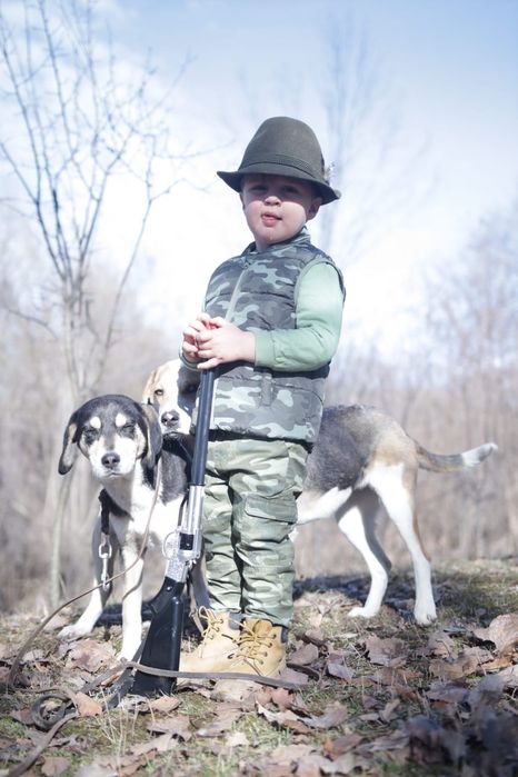 Donez copoi sârbesc tricolor cu labrador