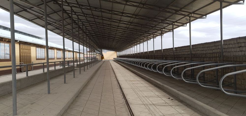 Ферма Ferma готовый бизнес в Ташкенте