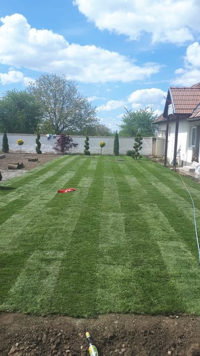 Gazon rulou si insamantare