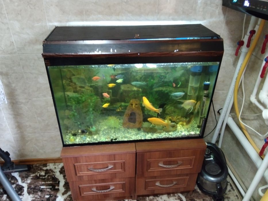 Аквариумистика, аквариум