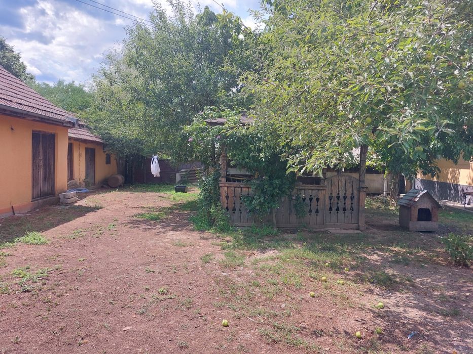 Casa de vanzare Dobroteasa