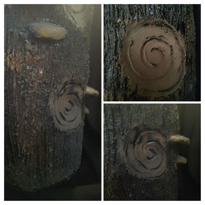 Напольные вазы кашпо.