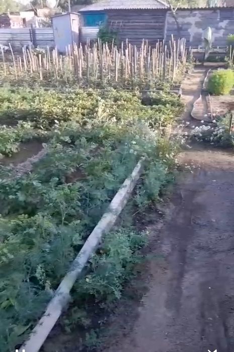 Продам дачу на Мирном
