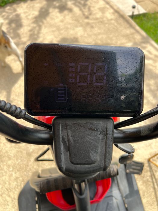 Триколка за възрастни