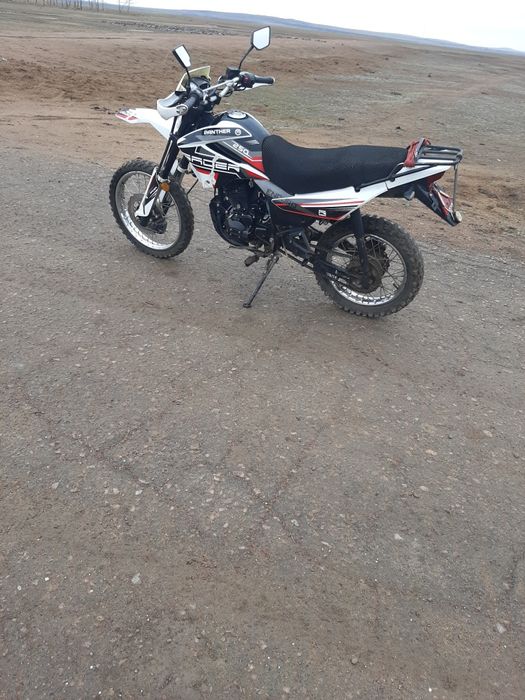 Рейсер  пантера 250
