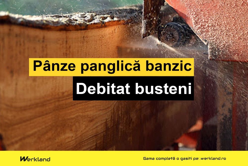 Panze panglica banzic busteni 4200x35x1.00x22.22 | Made in Germany