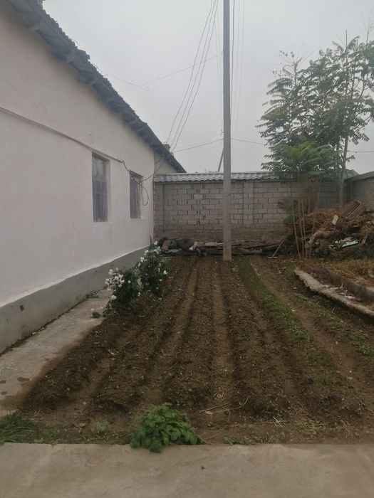 Sirdaryo tumani. Sholikor MFY. Maktab yonida.