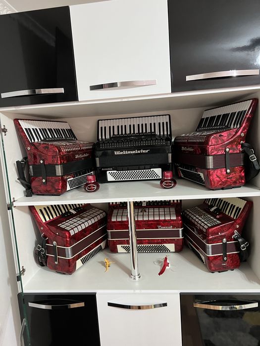 Acordeon Weltmeister Carpice 120 bași