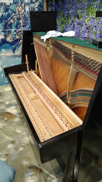 Acordare si Reparare Piane/Pianine