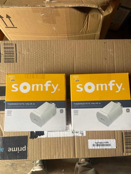 Robinet termostatic SOMFY IO 1870508