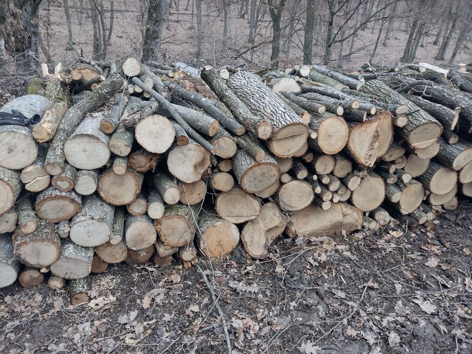 Lemne de foc esență