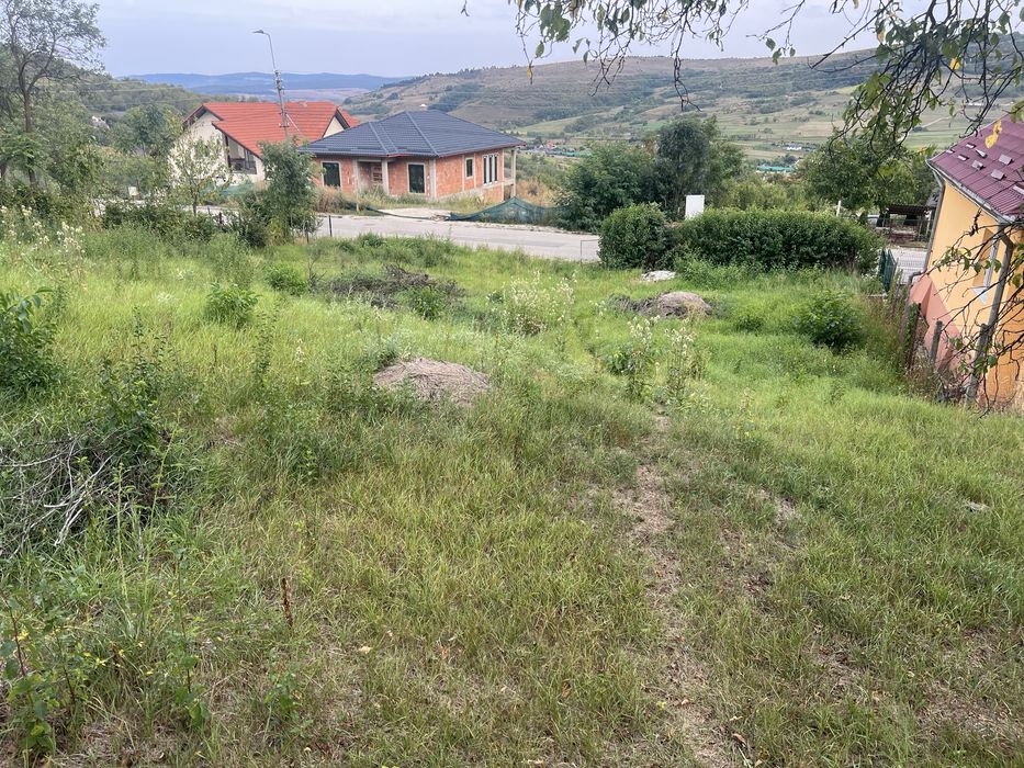 Vand  3900 mp teren intravilan .