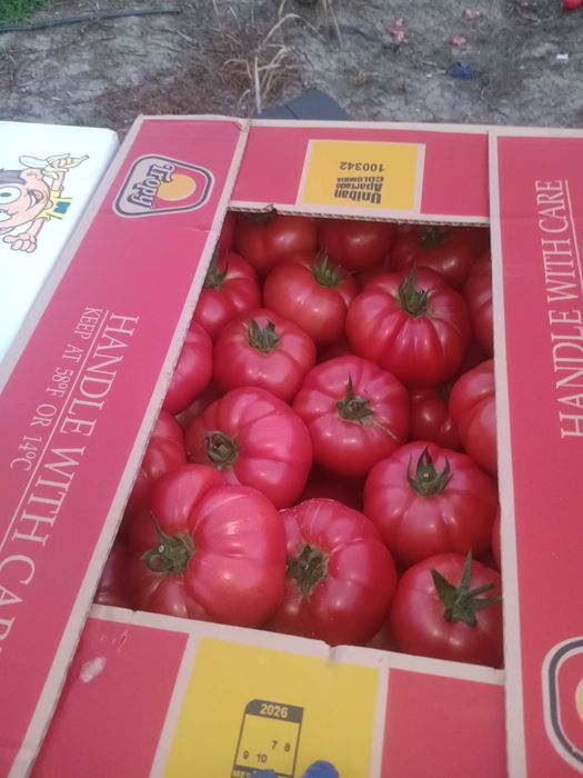 Vand rosii roze.