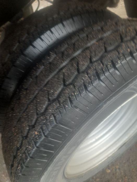 Газел бартавой сотилади