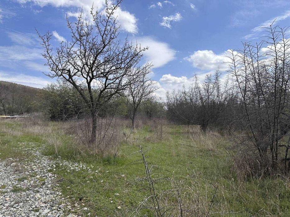 Продава се Парцел в с. Веселие, Област Бургас - 1569 кв.м за 16 €/кв.м - Снимка #5